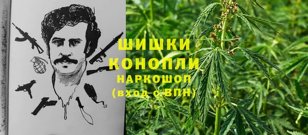 PSILOCYBIN Армянск
