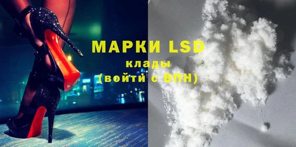 PSILOCYBIN Армянск